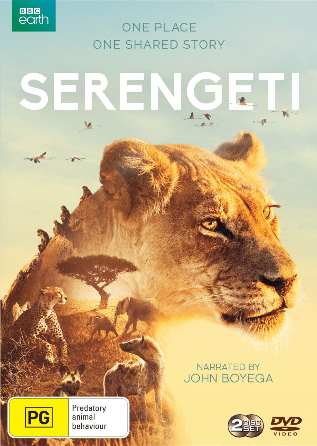 SERENGETI