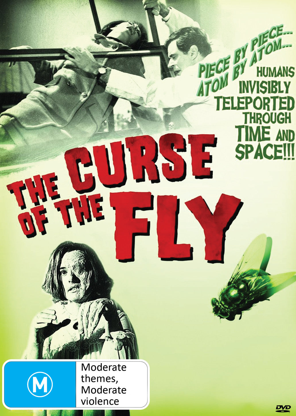 CURSE OF THE FLY